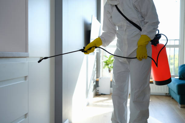 Best Professional Mold Removal  in Sublette, KS