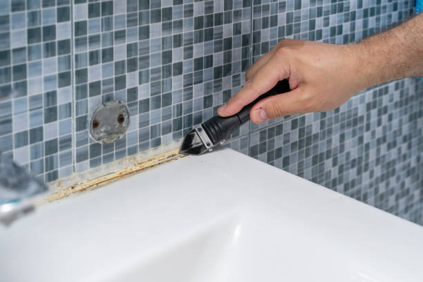 Best Mold Removal Near Me  in Sublette, KS