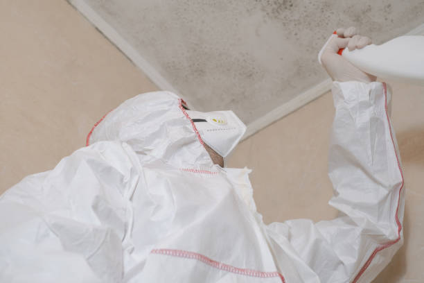 Best Crawl Space Mold Removal  in Sublette, KS