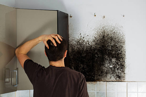 Mold Testing and Removal in Sublette, KS